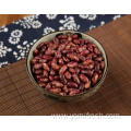 Kidney Beans Good For Kidneys